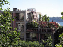 Rooftop Gardens Green roofs are gaining in popularity. North Americans added some 3.1 million square feet of them to their buildings in 2008 alone - up 35 percent from 2007. Pictured: a rooftop garden in the Pine Market section of Seattle