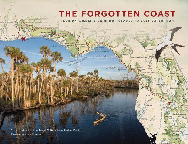 Helping to preserve forests along Florida's "forgotten coast"