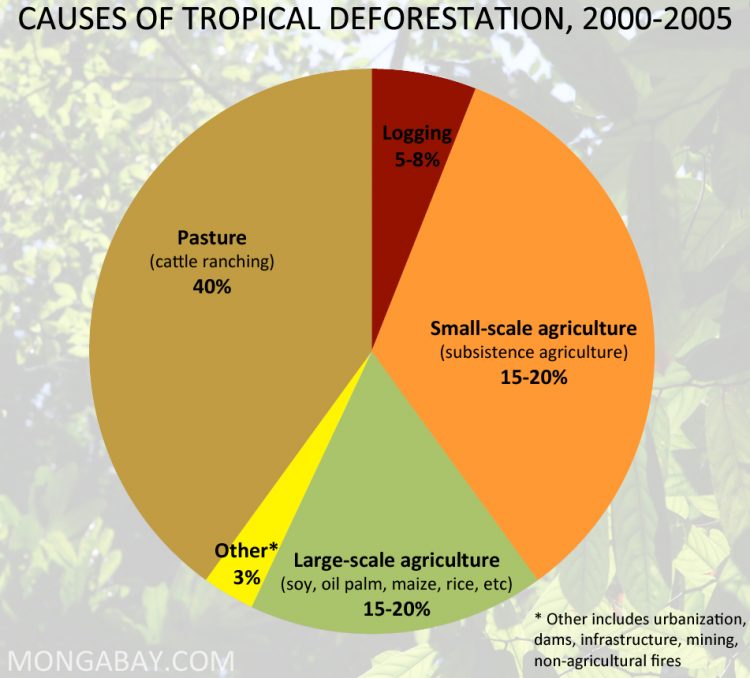 The main causes of tropical deforestation