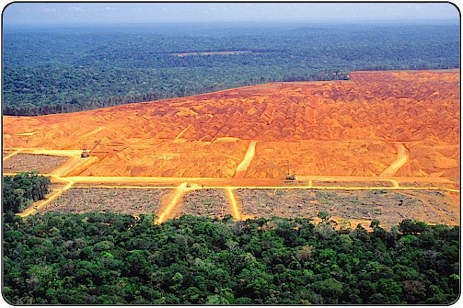 Deforestation: Clearcutting tropical rain forest