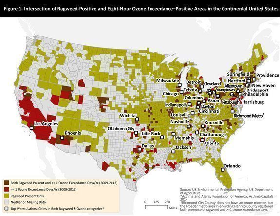 Ragweed and Ozone impacts on air quality in the United States